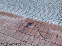 Imagine atasata: IMG_20150214_102016.jpg